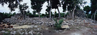 Murcielagos and Round House at San Gervasio Ruins - san gervasio mayan ruins,san gervasio mayan temple,mayan temple pictures,mayan ruins photos
